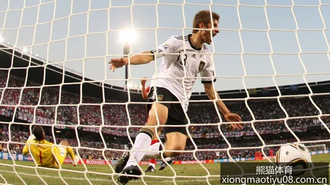 熊猫体育更新落地争议立刻出现引发关注